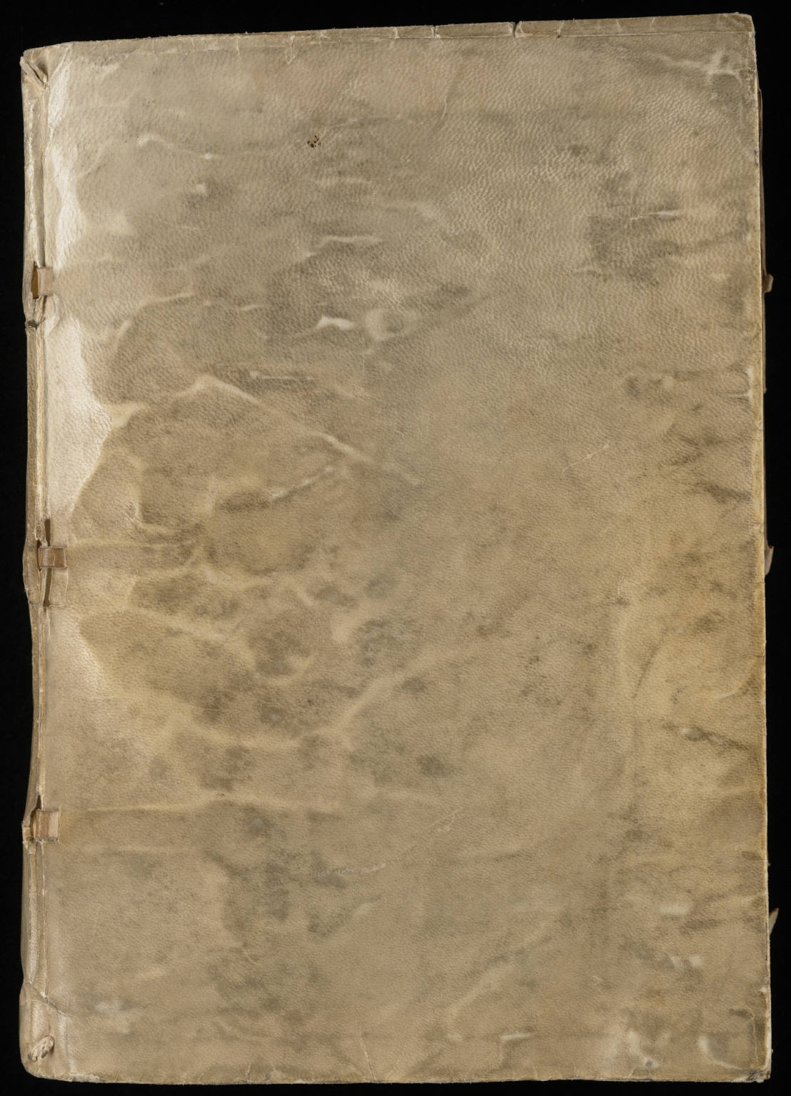 Voynich Manuscript folio with plant-like illustration and undeciphered Voynichese script (Beinecke MS 408).
