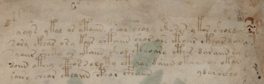 Close detail of undeciphered Voynichese letterforms from the Voynich Manuscript.